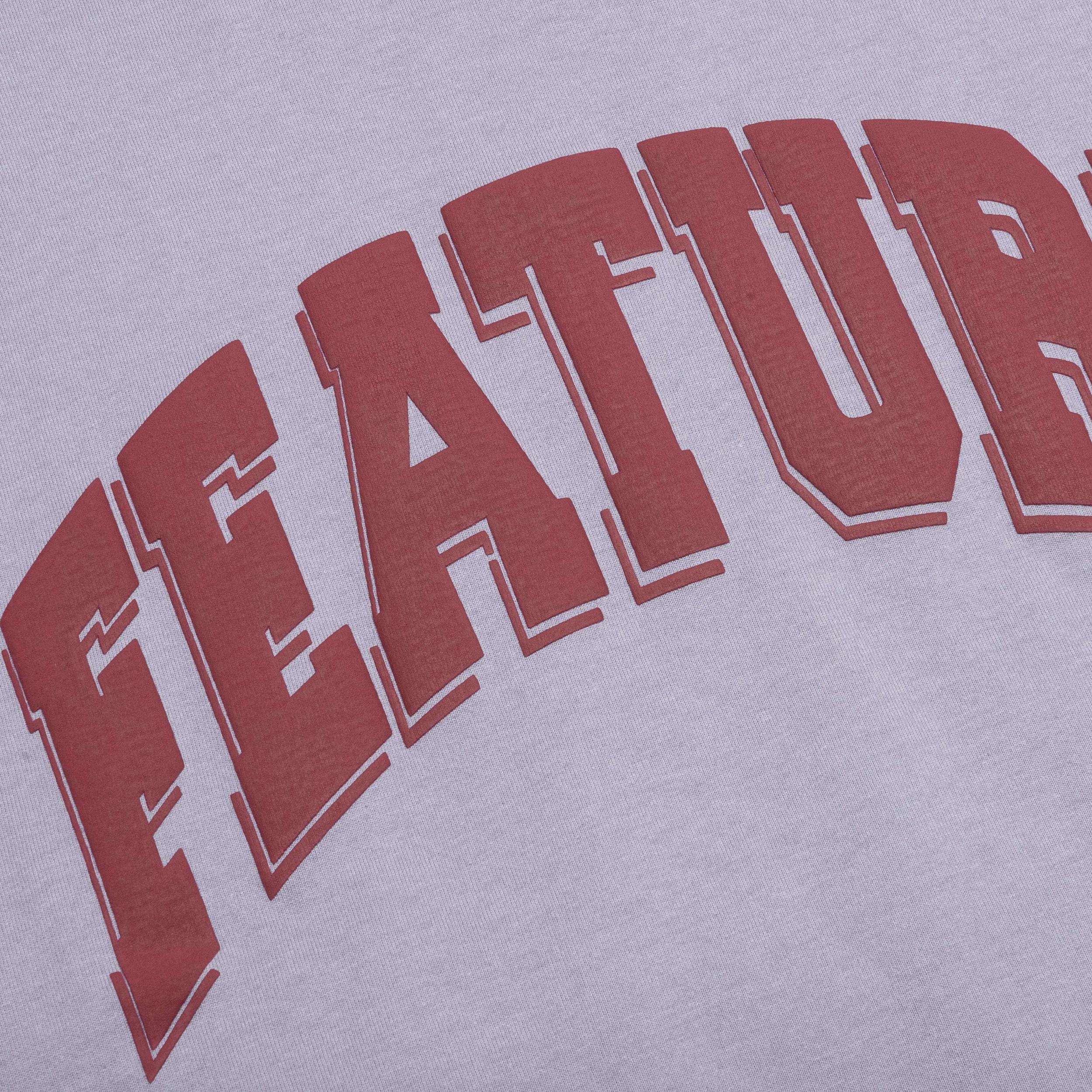 Collegiate Arch Tee - Falcon Male Product Image