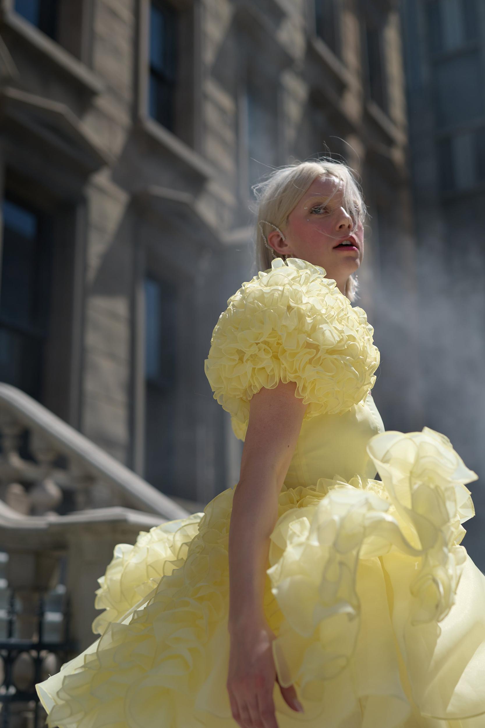 The Twinkie Paris Dress Product Image