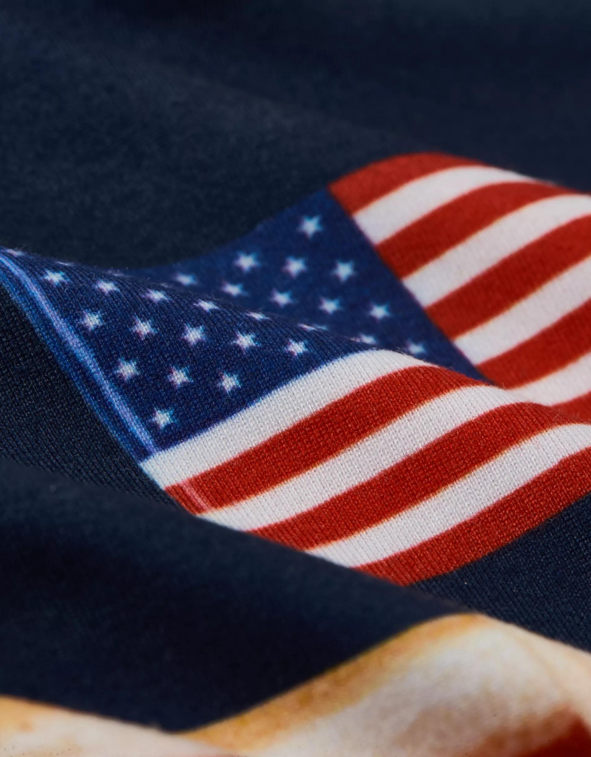 AEO Men's Cougar 6" Flex Boxer Brief Product Image