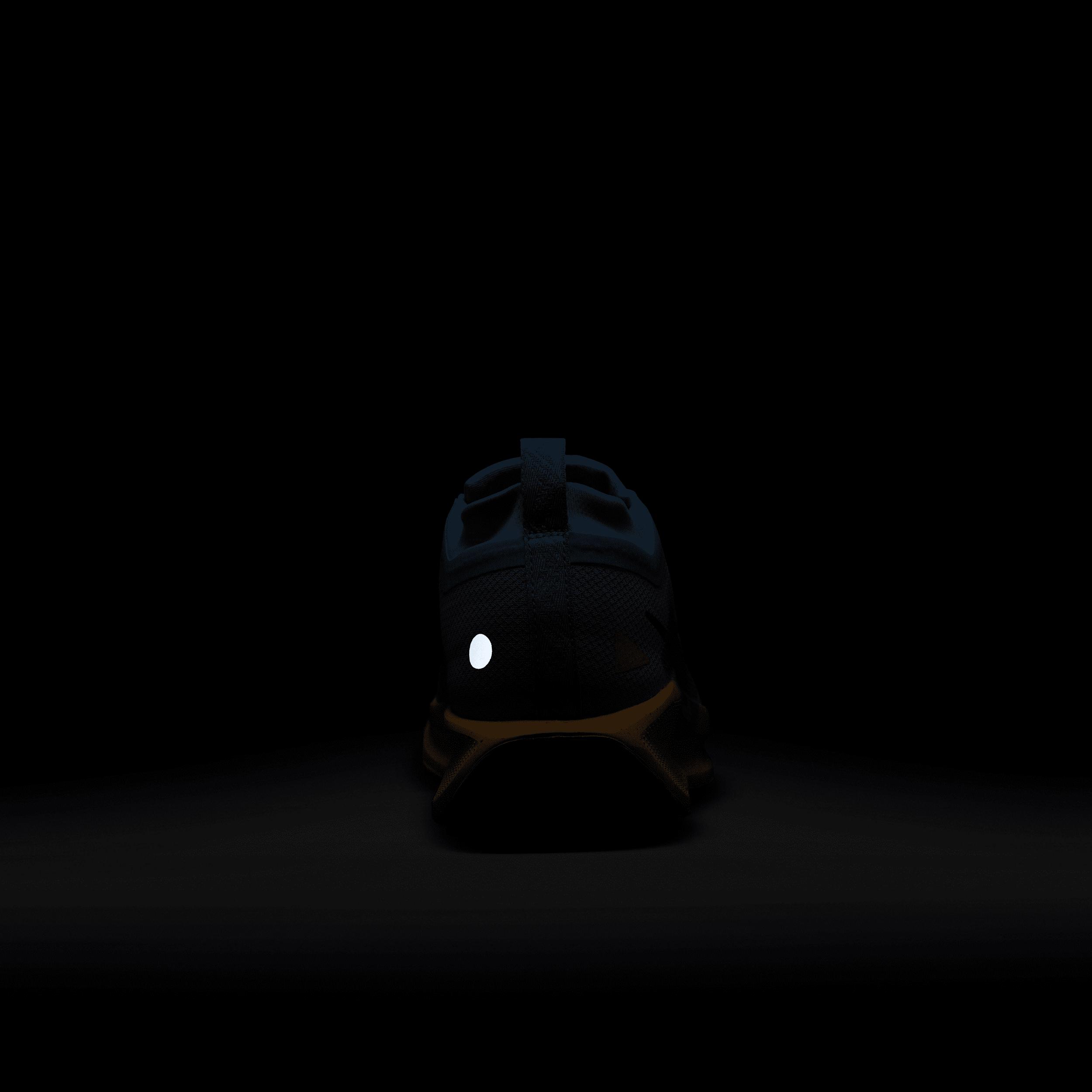 Mens Nike Pegasus Trail 5 GORE-TEX Waterproof Trail Running Shoes Product Image