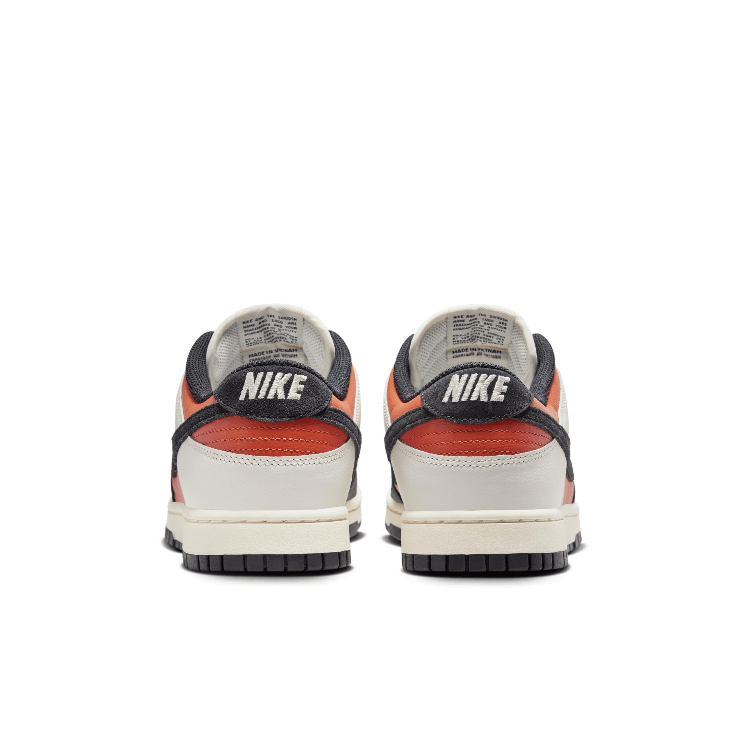 Nike Mens Dunk Low Retro SE Leather/Suede Shoes | FQ8249-101 Product Image