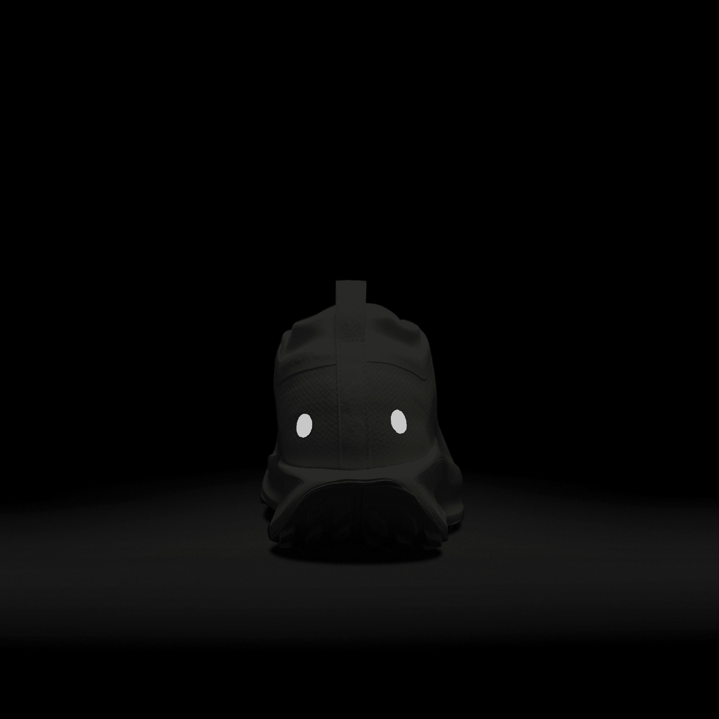 Nike Mens Pegasus Trail 5 GORE-TEX Waterproof Trail Running Shoes | FQ0908-101 Product Image