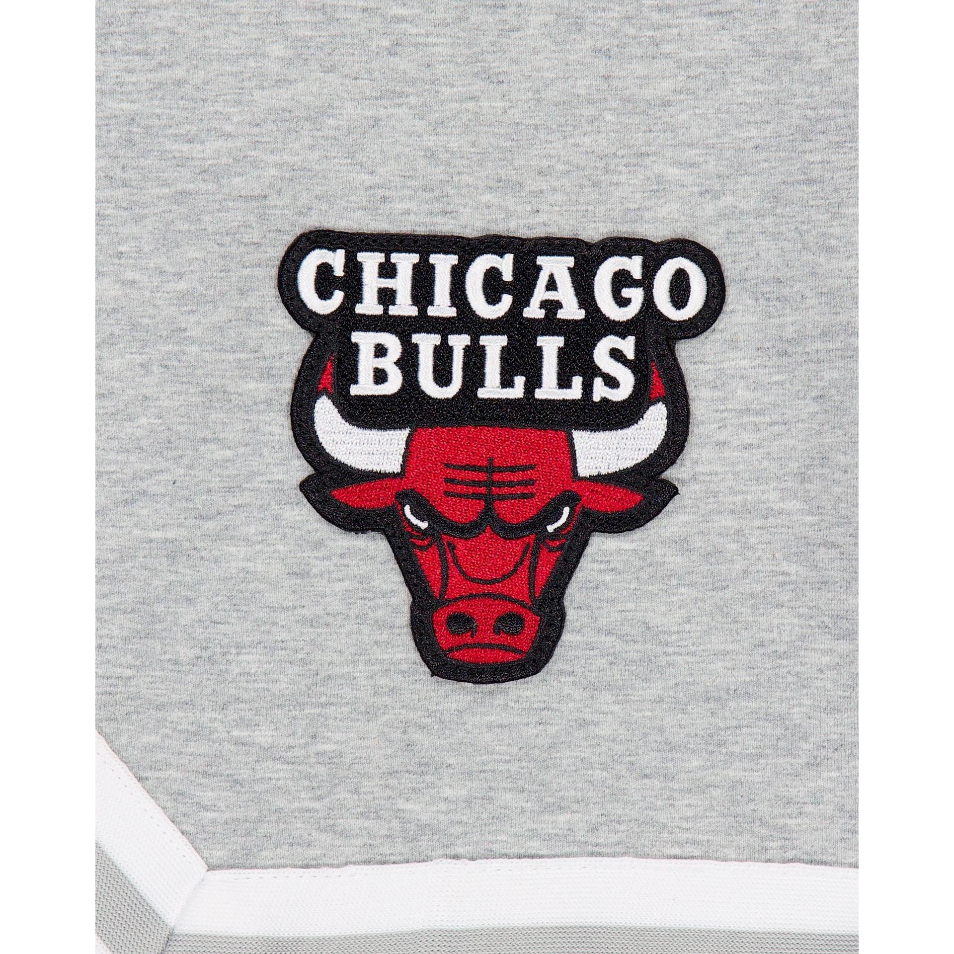Chicago Bulls Gray Logo Select Shorts Male Product Image