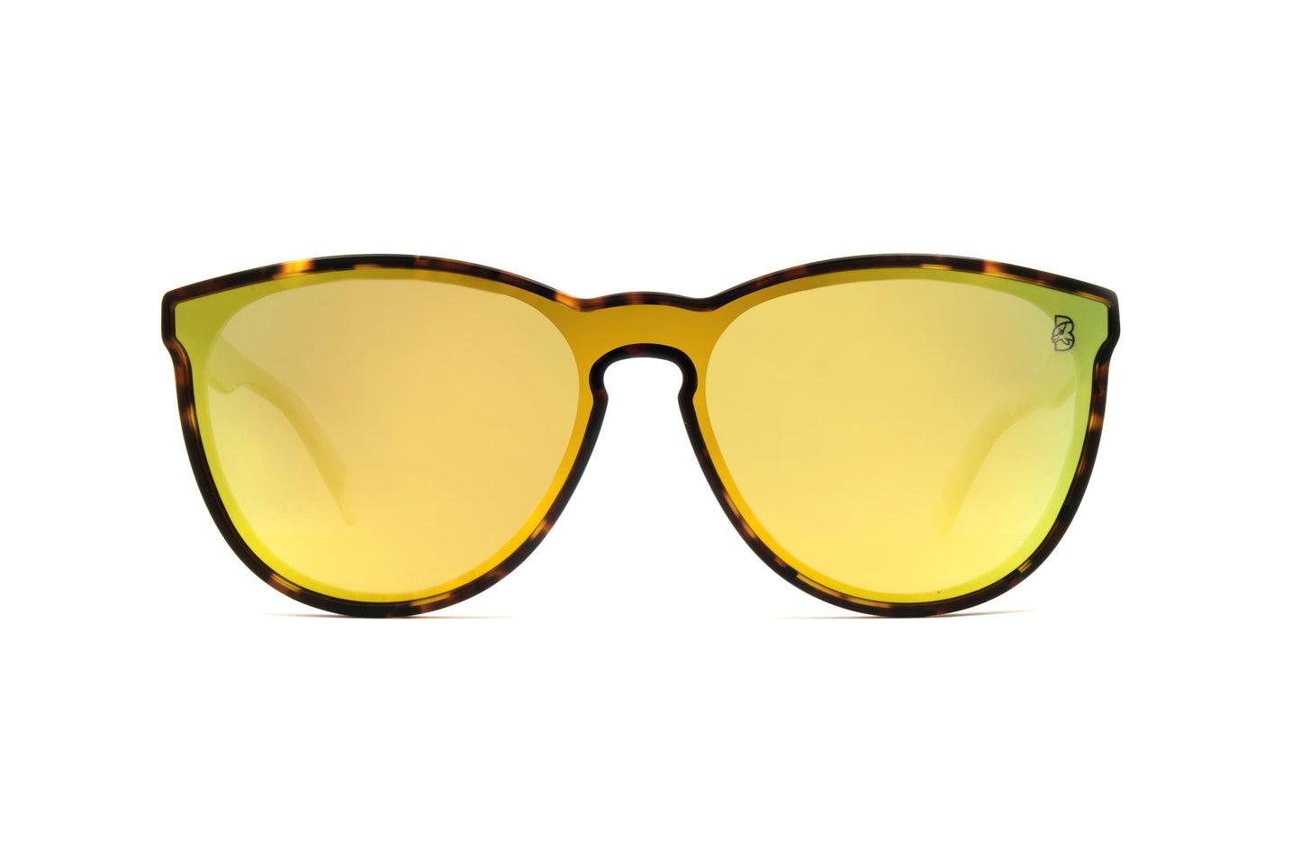 Biscayners Cranwood Tortoise Men's Sunglasses Male Product Image