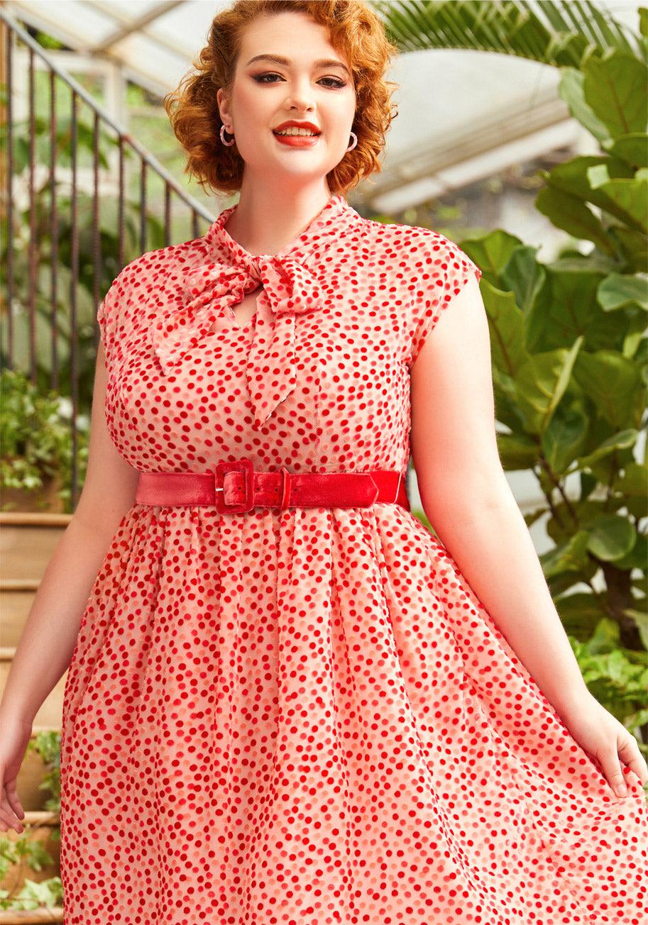 Confetti Confection Fit And Flare Dress Product Image