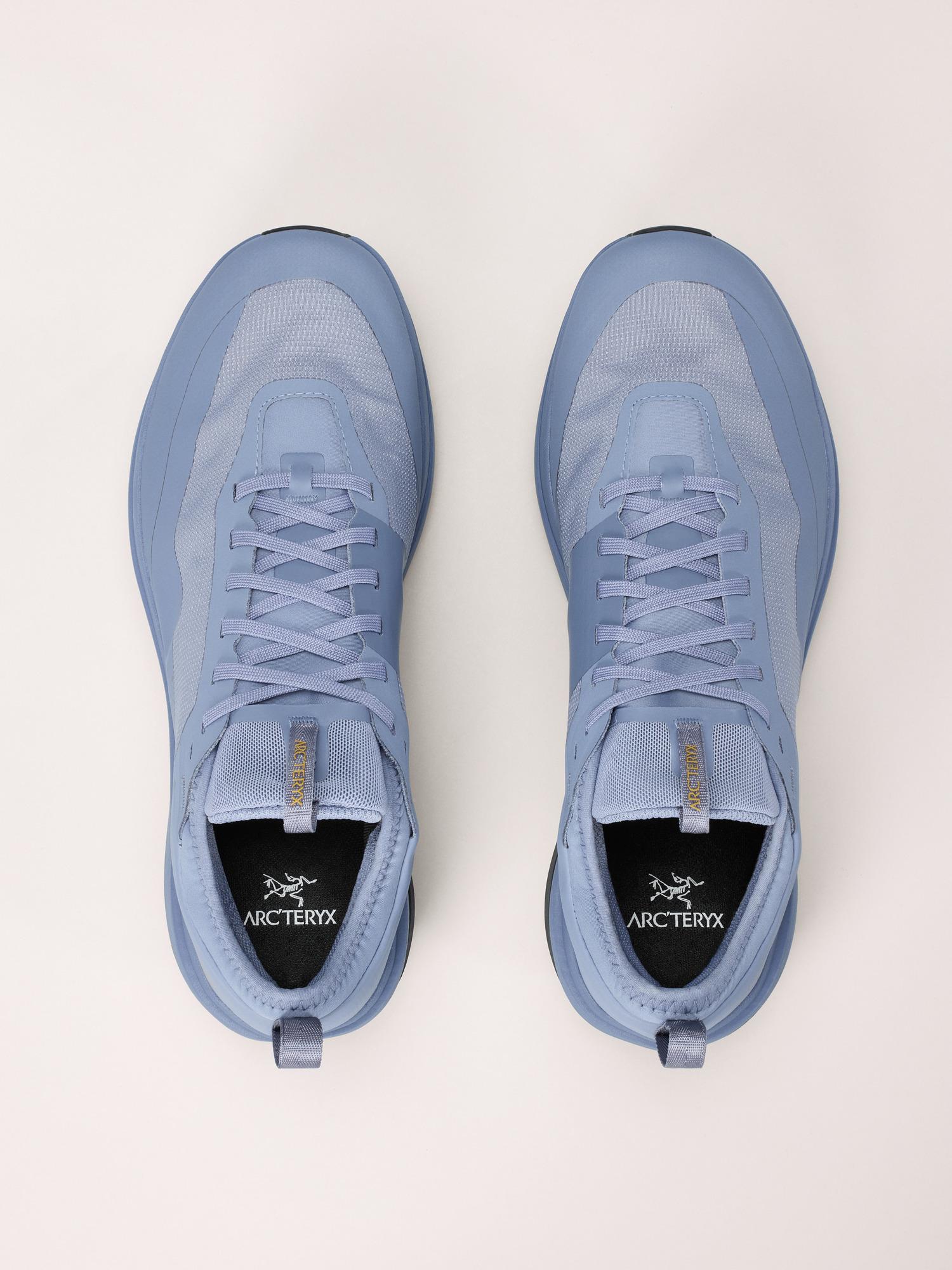 Sylan GTX Shoe Men's Product Image