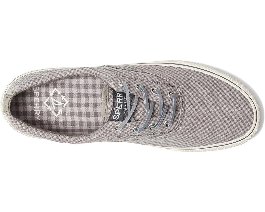 CVO Canvas Product Image