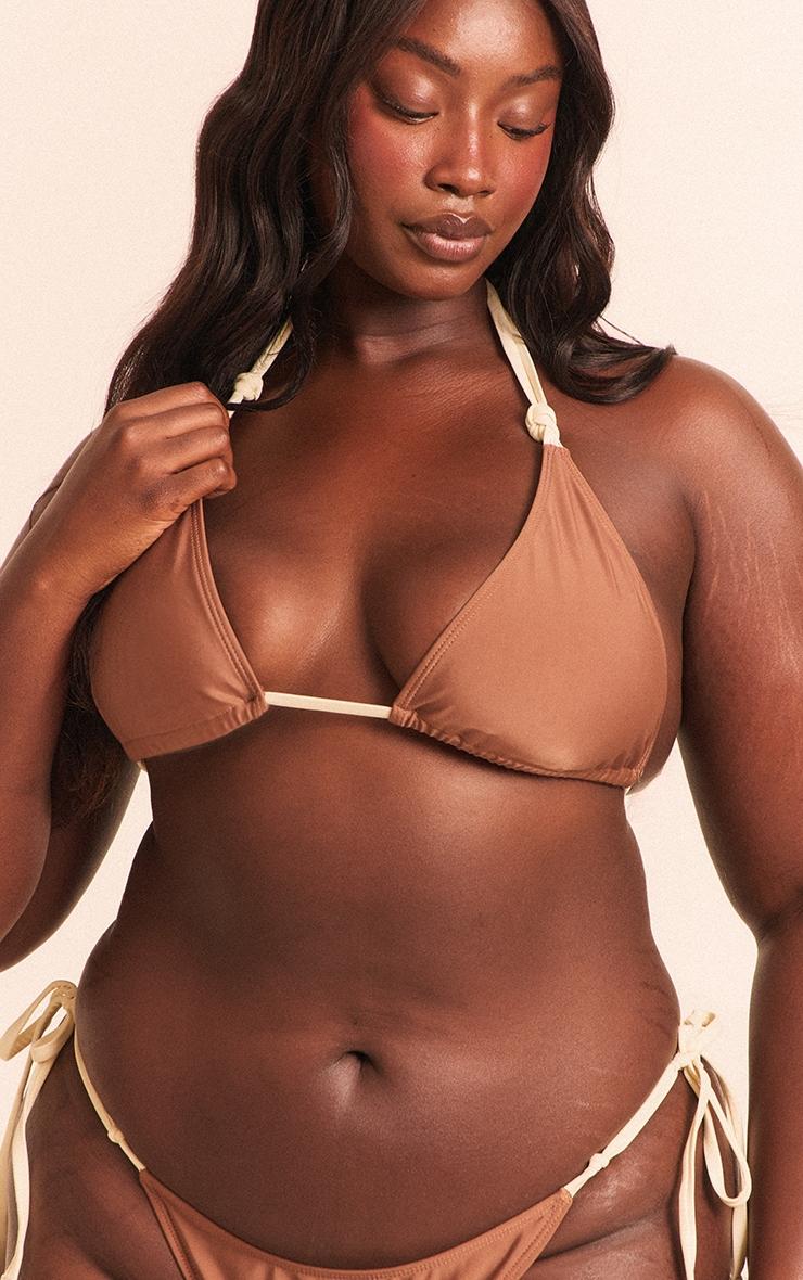 Plus Chocolate Contrast Binding Knot Triangle Bikini Top Product Image