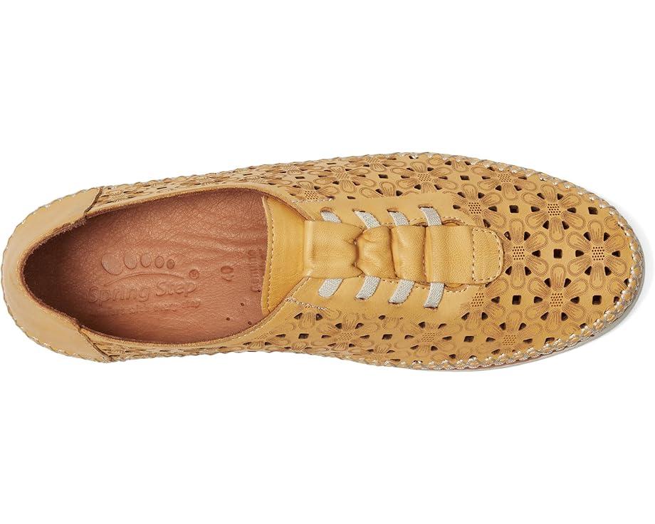 Picasa Product Image