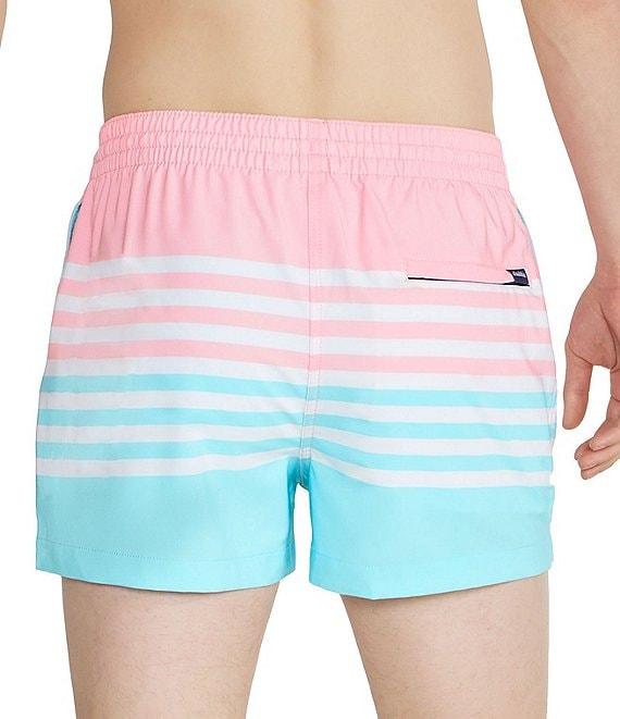 Chubbies The On the Horizons 4#double; Lined Classic Stretch Trunks Product Image