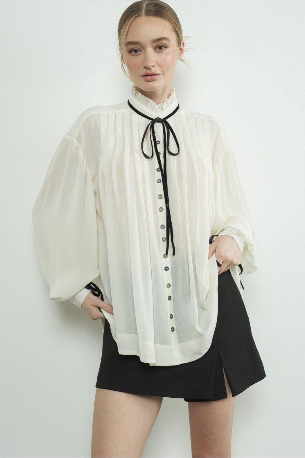Sheer Pintuck Blouse Product Image