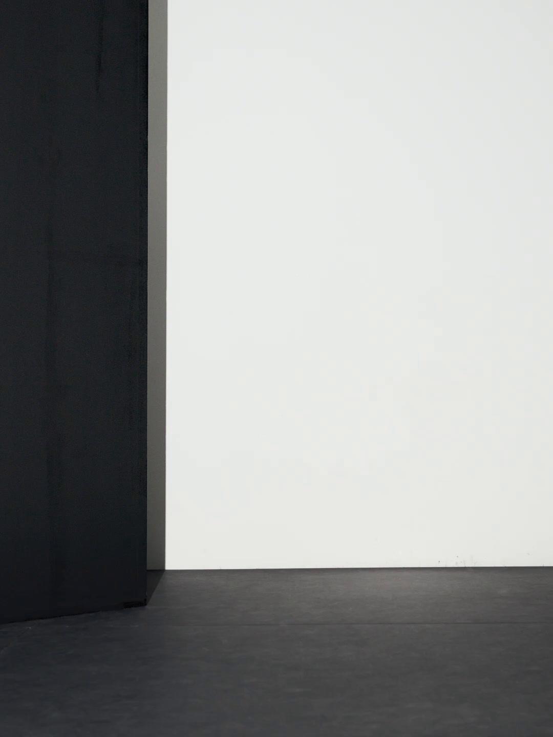 Midi skirt with box pleats Product Image