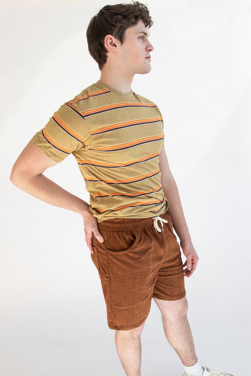 Plush Corduroy Shorts Product Image