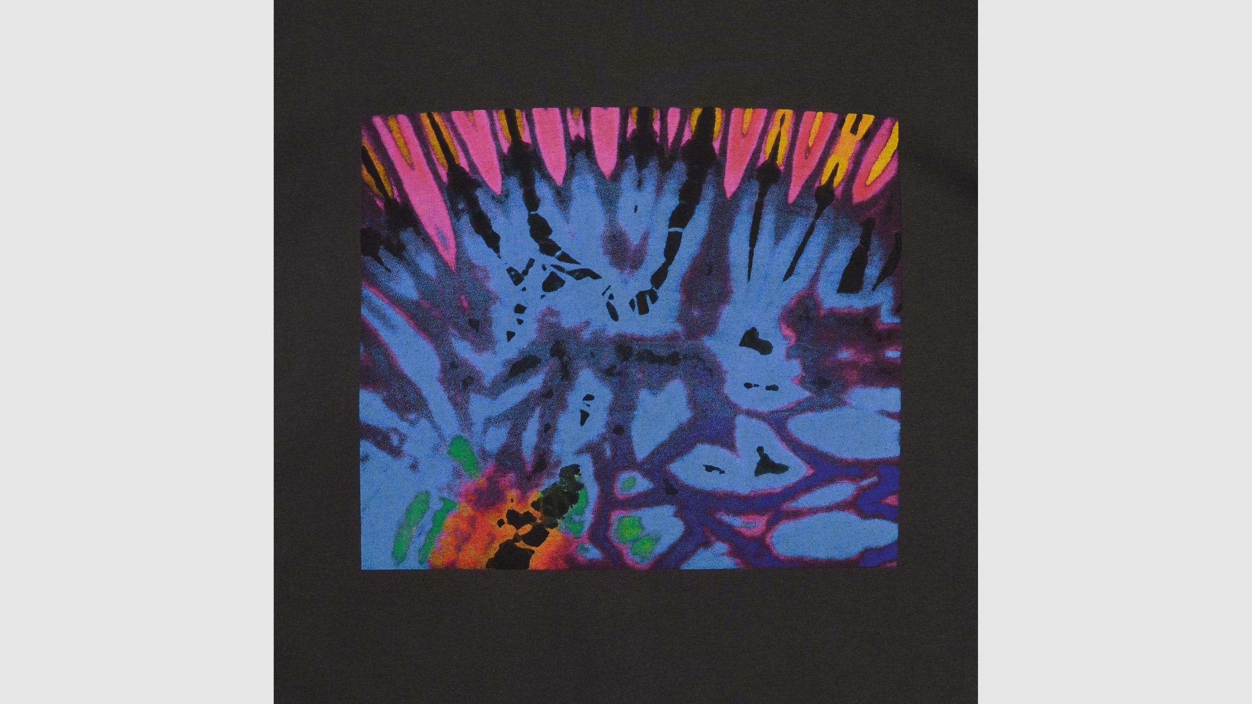 Levi's® Skateboarding Graphic Boxy T-Shirt Product Image