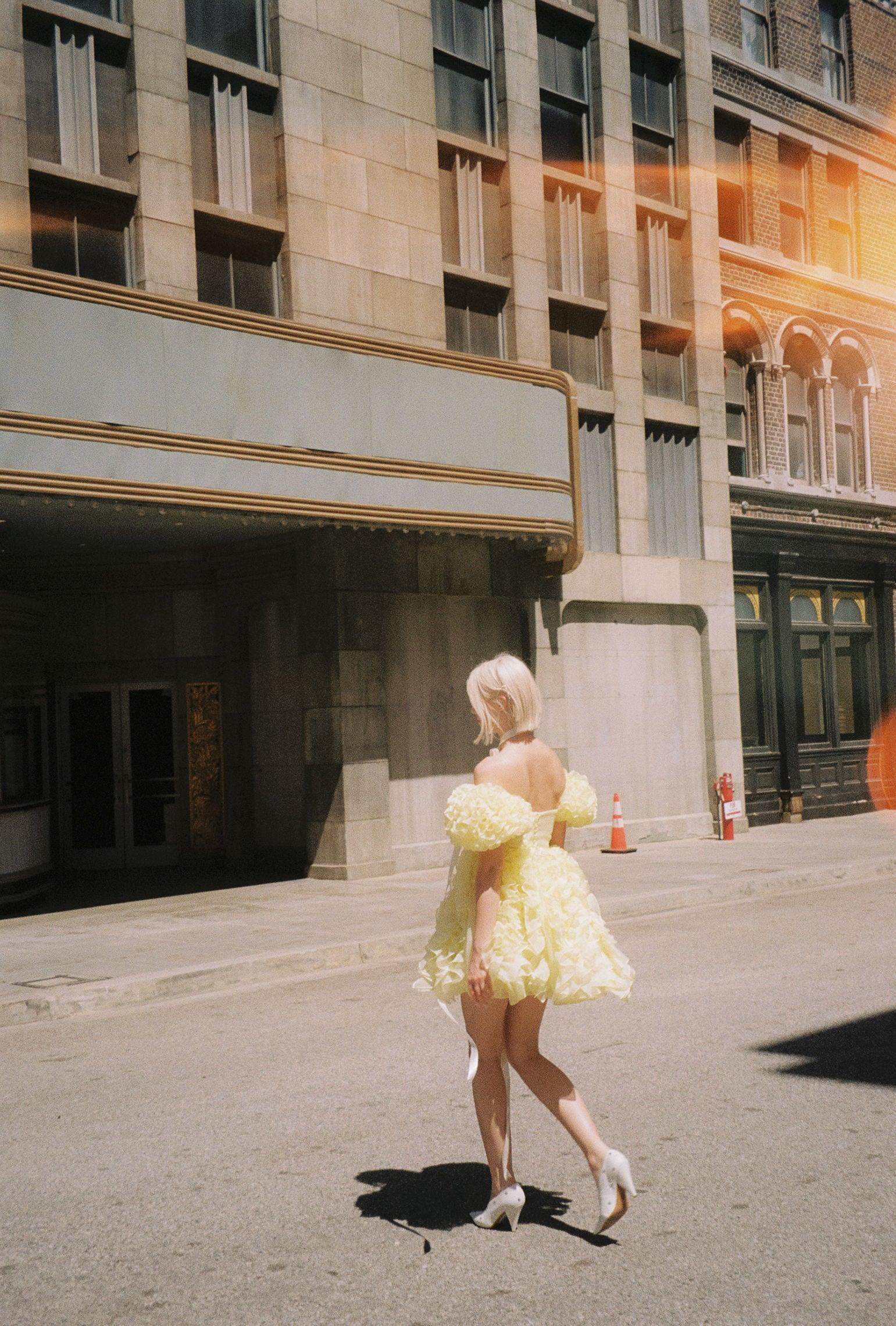 The Twinkie Paris Dress Product Image