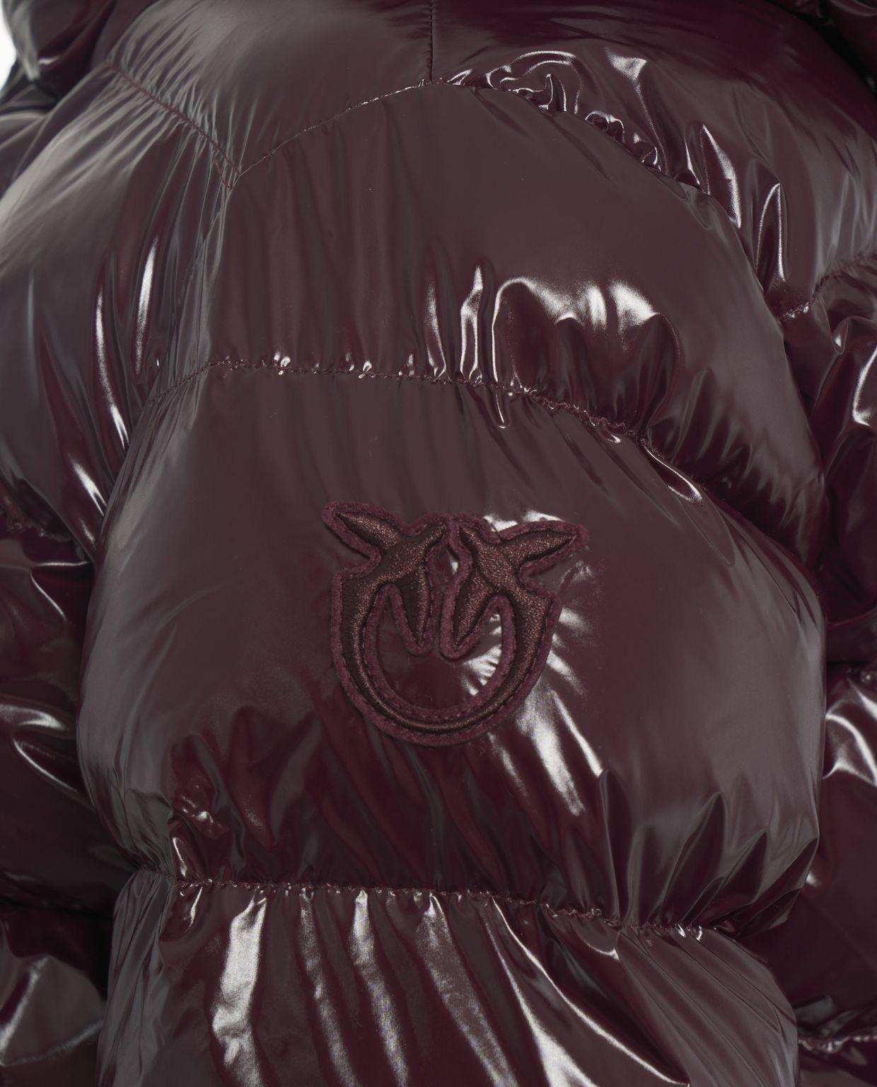 Quilted down jacket with hood Product Image