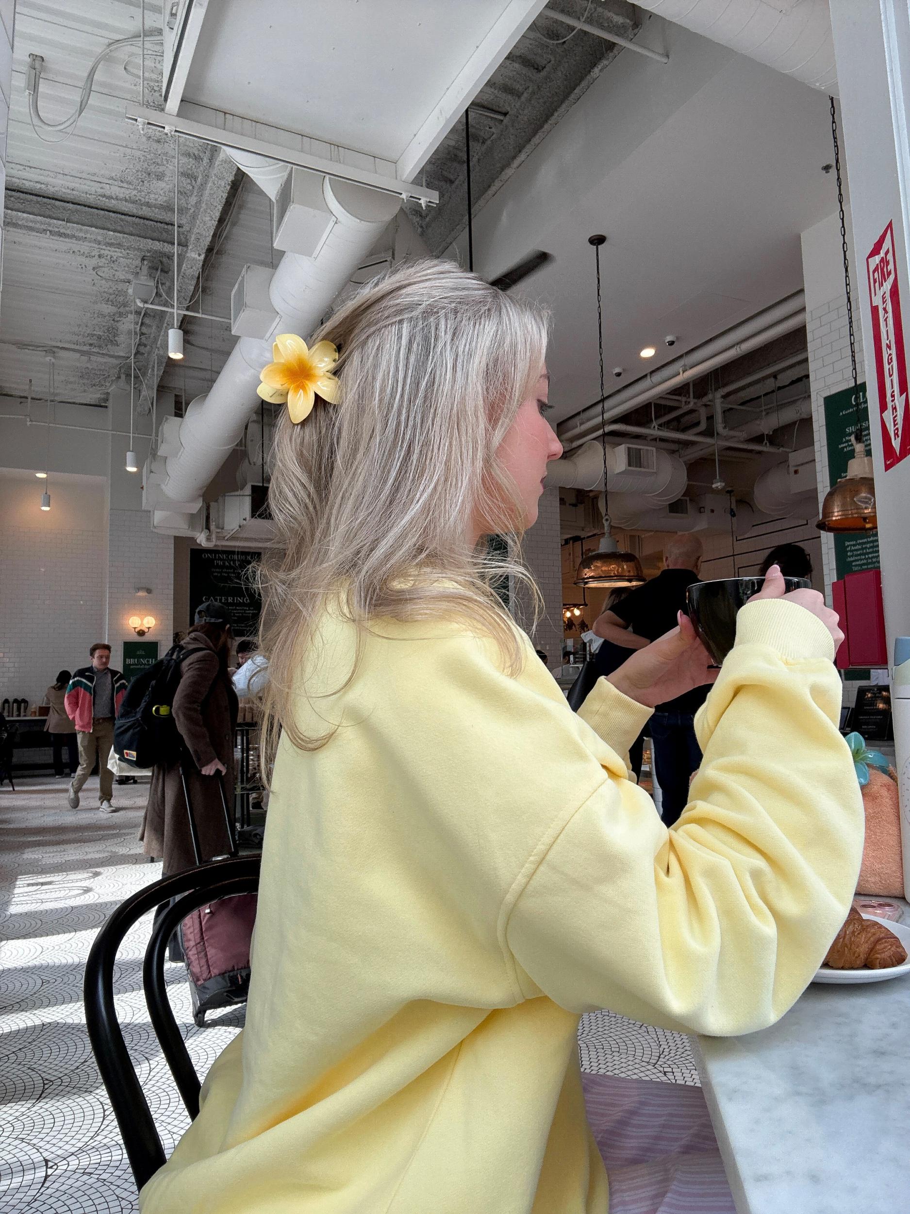 Isabella Banana Yellow Sunkissedcoconut Embroider Sweatshirt Product Image