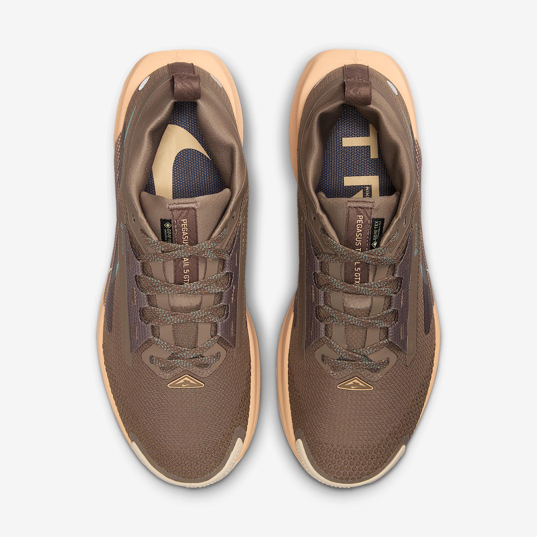 Nike Womens Pegasus Trail 5 GORE-TEX Waterproof Trail Running Shoes | FQ0912-200 Product Image