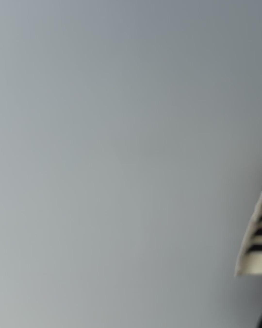 Nico Striped Cardigan in Cotton Product Image