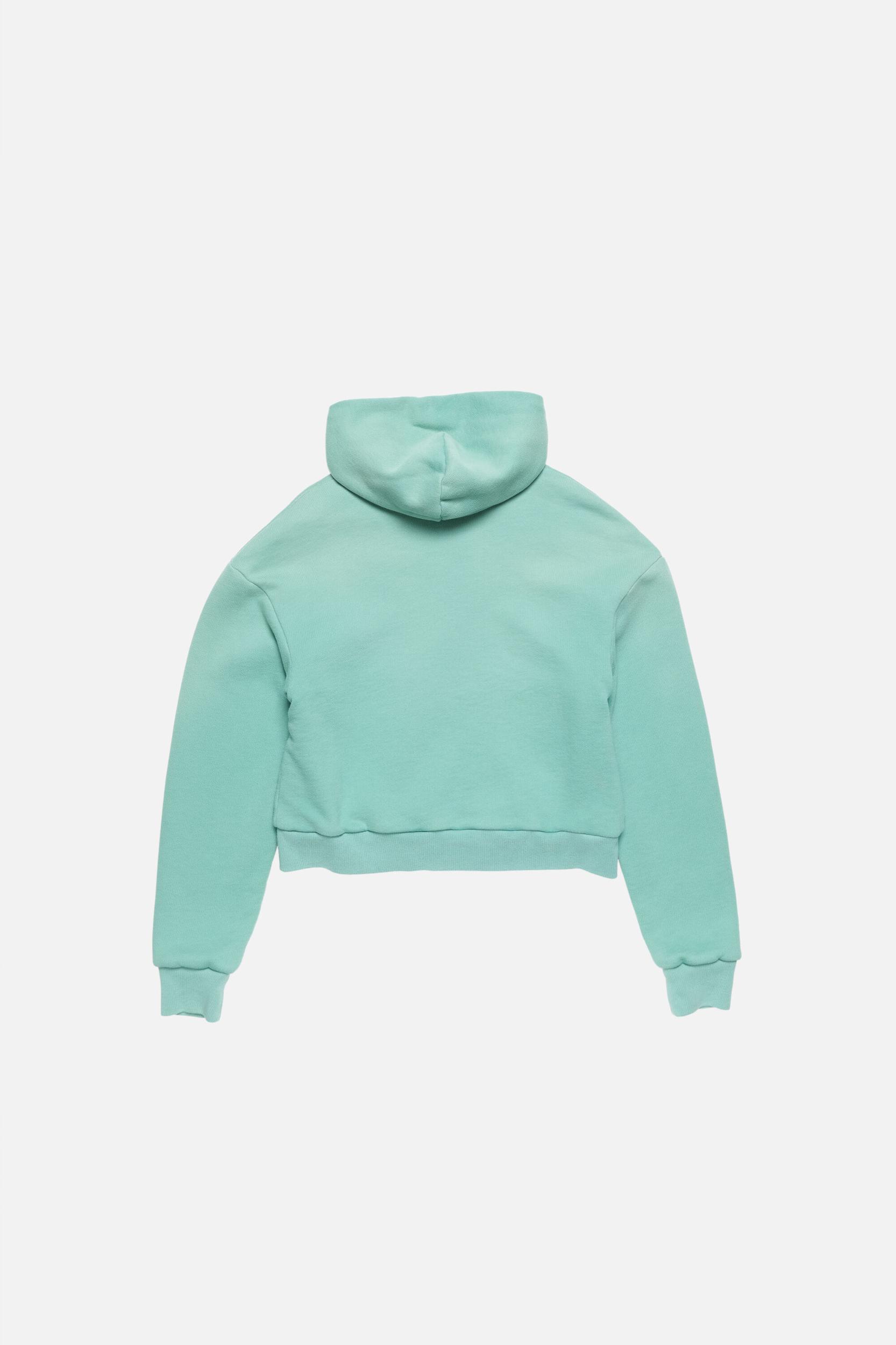 Sprayed zip hoodie Product Image
