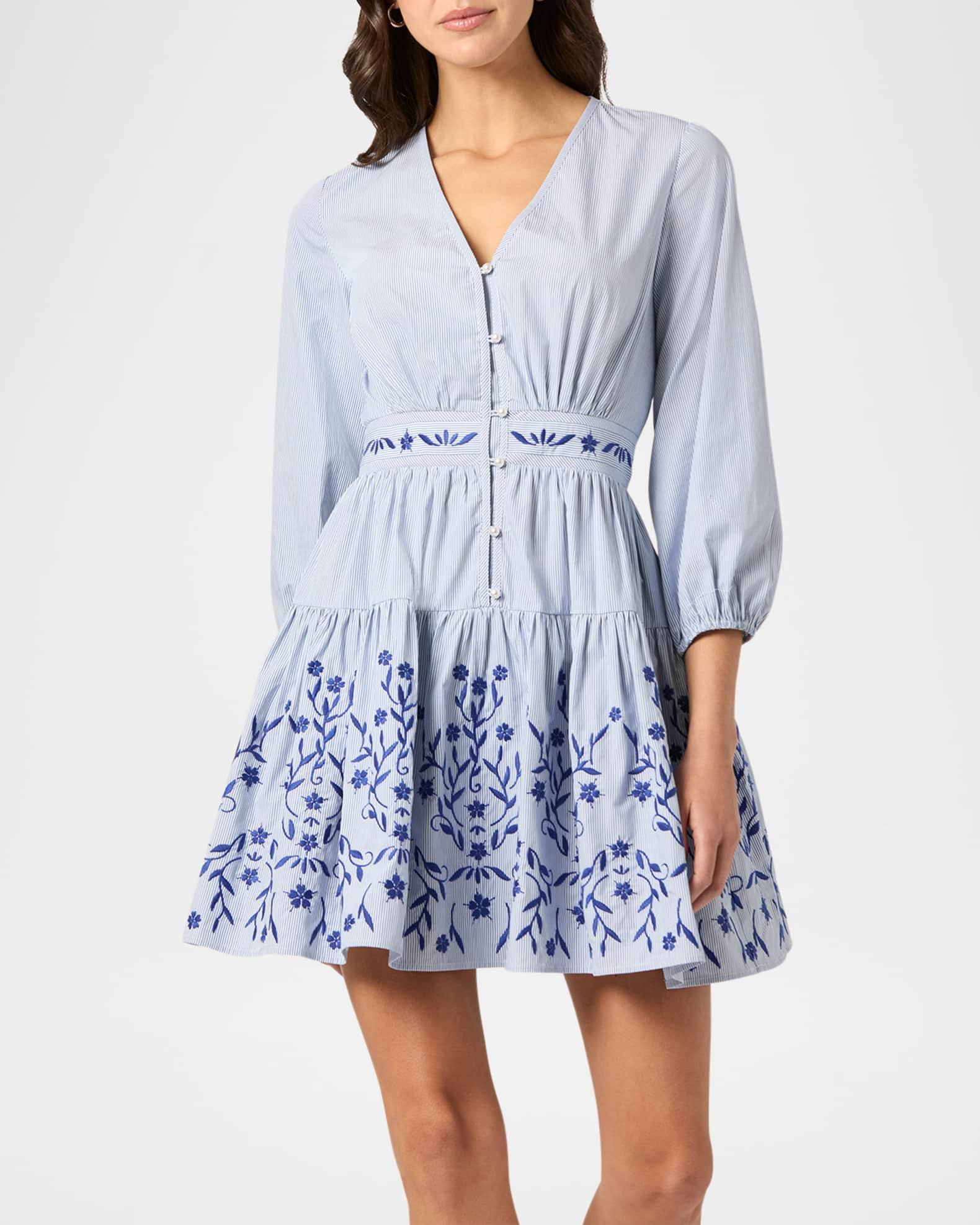 Rory Floral-Embroidered Flounce Mini Dress Product Image