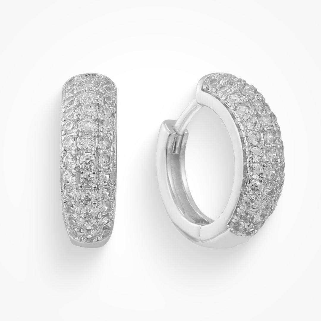 Dollar Bill Earrings Product Image