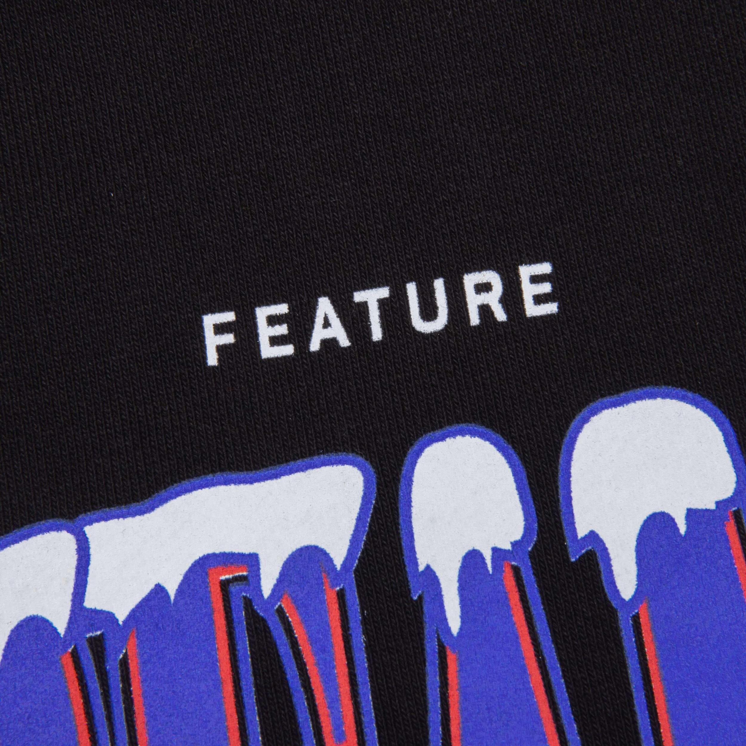 Feature x Icecream Super Bowl Hoodie - Black Male Product Image
