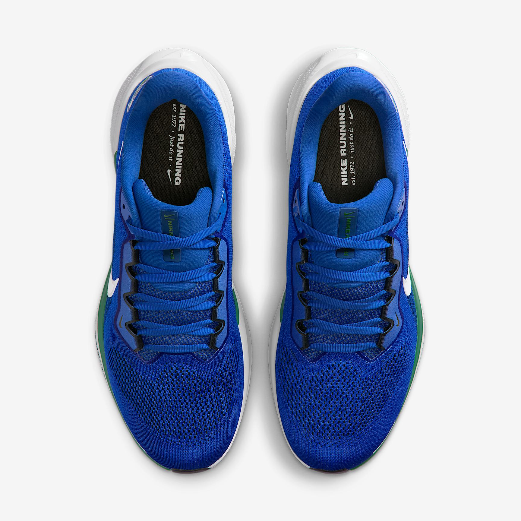 Seattle Seahawks Pegasus 41 Nike Mens NFL Road Running Shoes | IB3197-400 Product Image