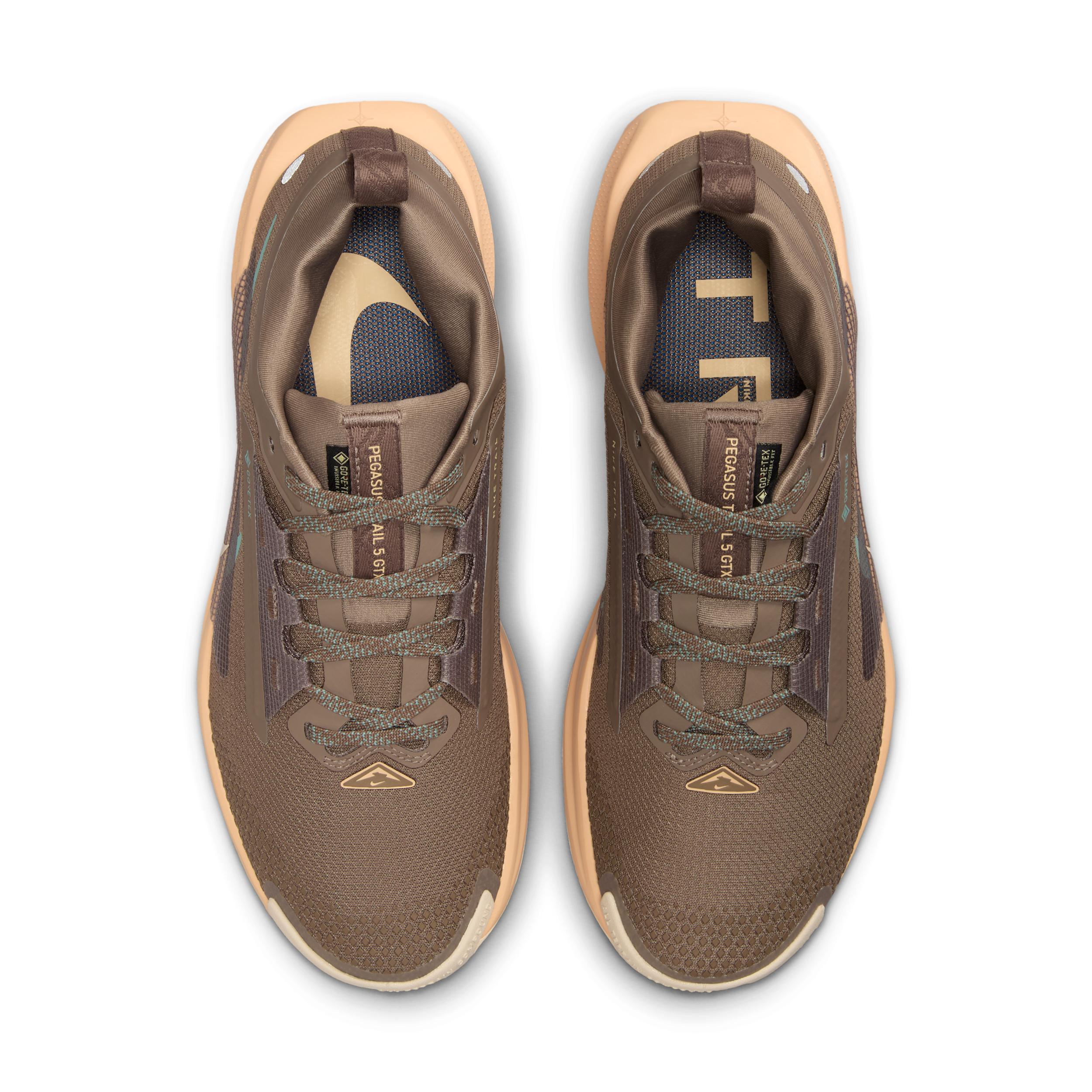 Nike Womens Pegasus Trail 5 GORE-TEX Waterproof Trail Running Shoes | FQ0912-200 Product Image