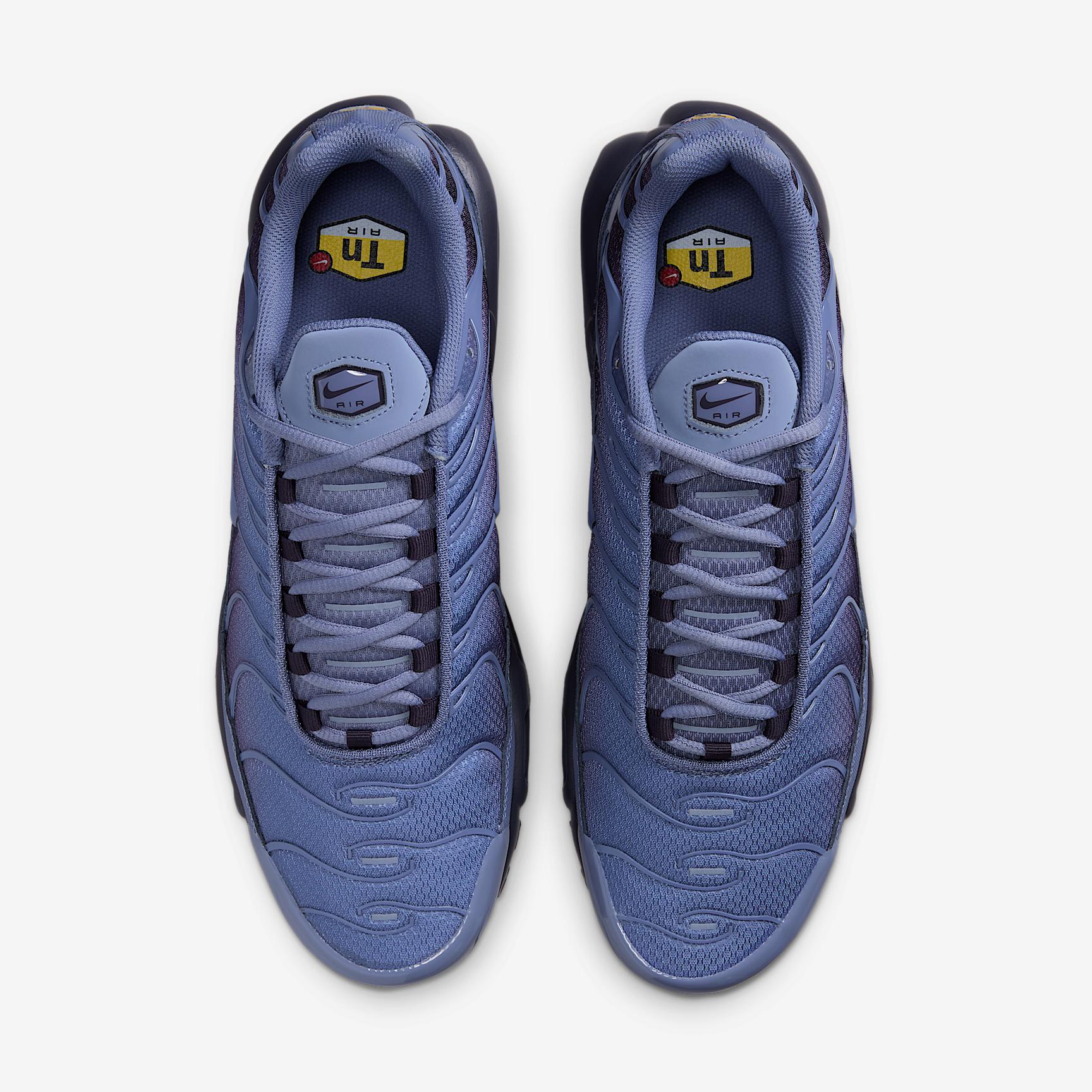 Nike Mens Air Max Plus Shoes | DM0032-701 Product Image