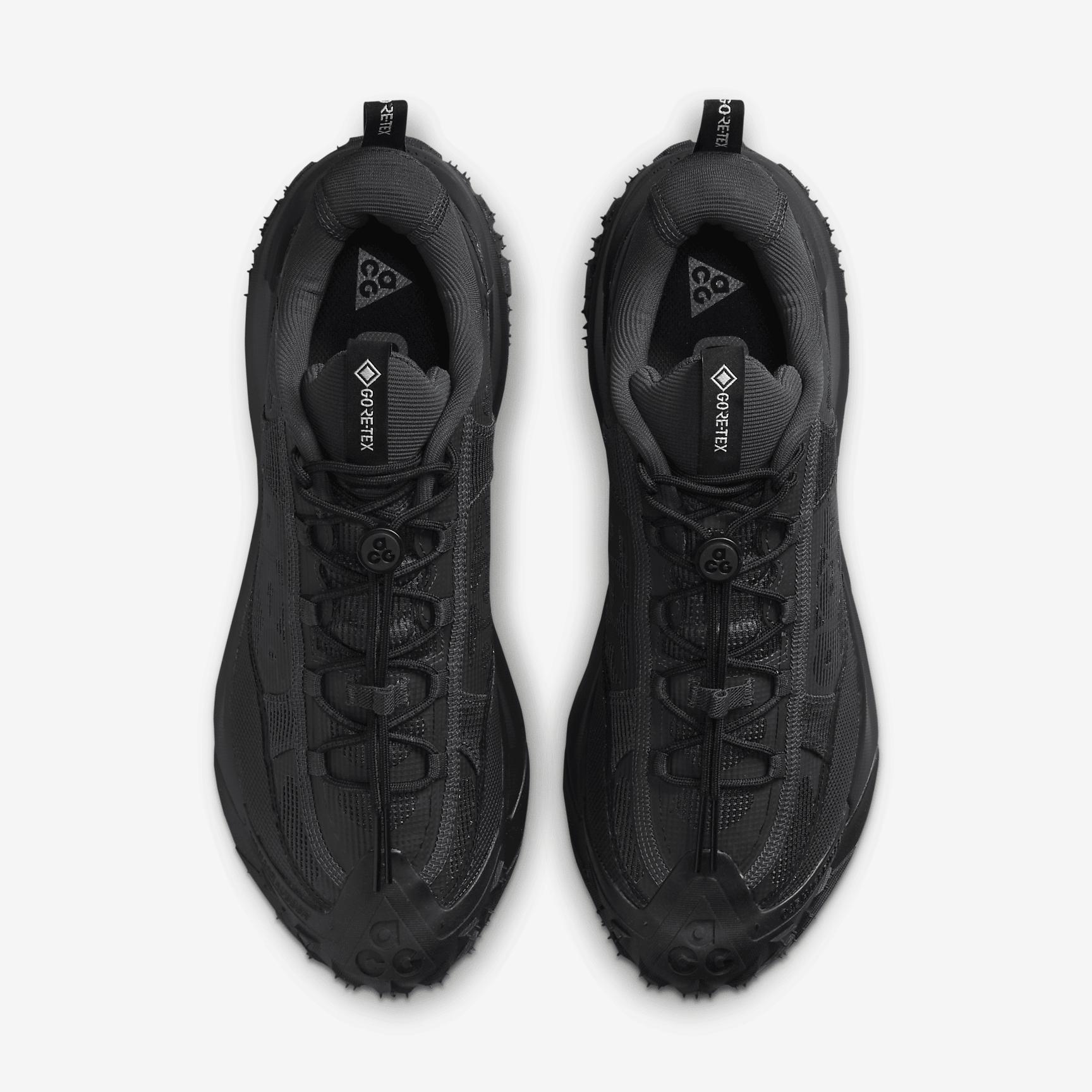 Nike ACG Mountain Fly 2 Low GORE-TEX Men's Shoes Product Image