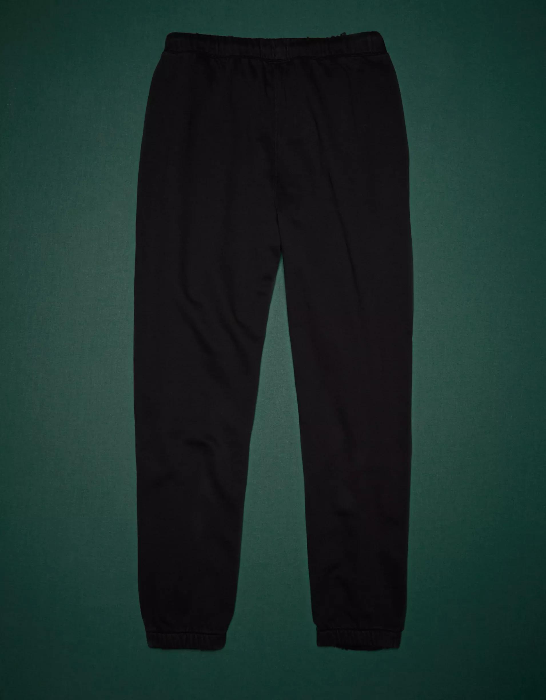 AE77 Premium French Terry Jogger Product Image