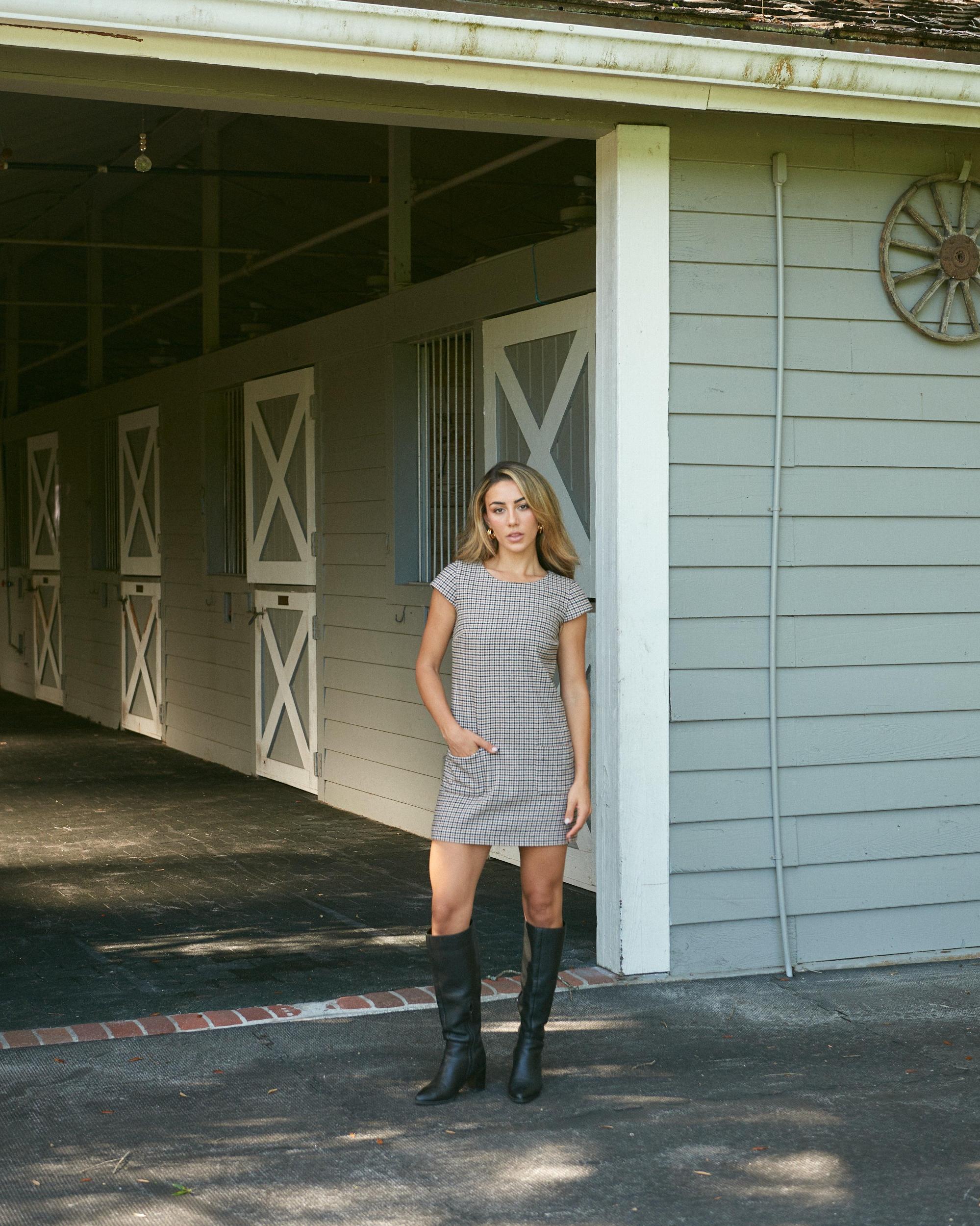 Felice Dress in Houndstooth Product Image