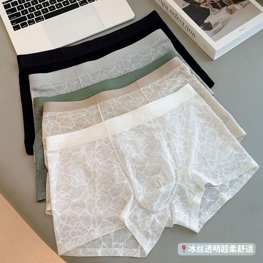 Lace Boxer Brief / Set Product Image