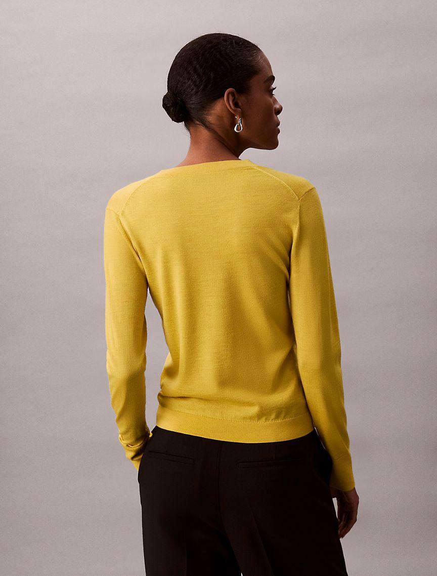 Merino Wool V-Neck Sweater Product Image