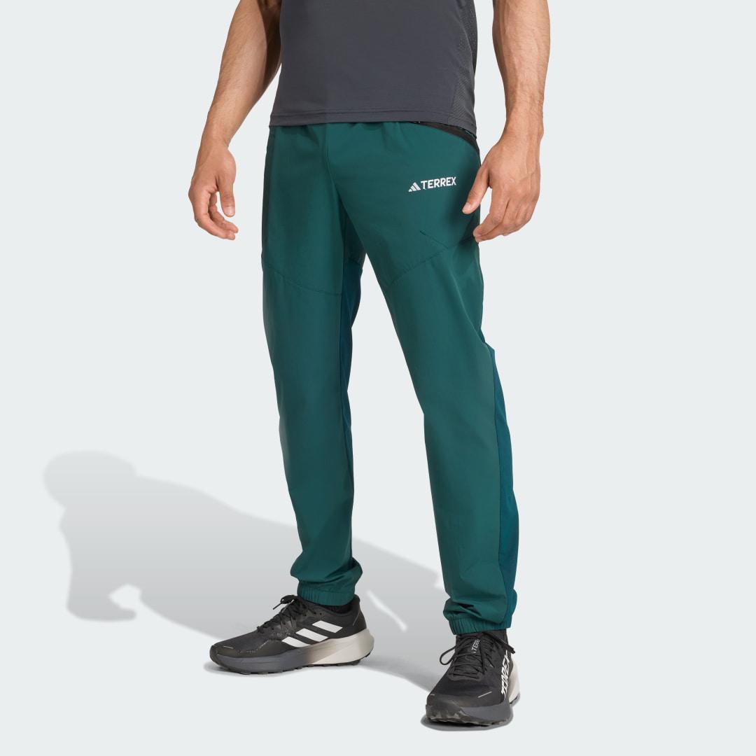adidas Terrex Xperior Light Pants Aurora Ivy L Mens Product Image