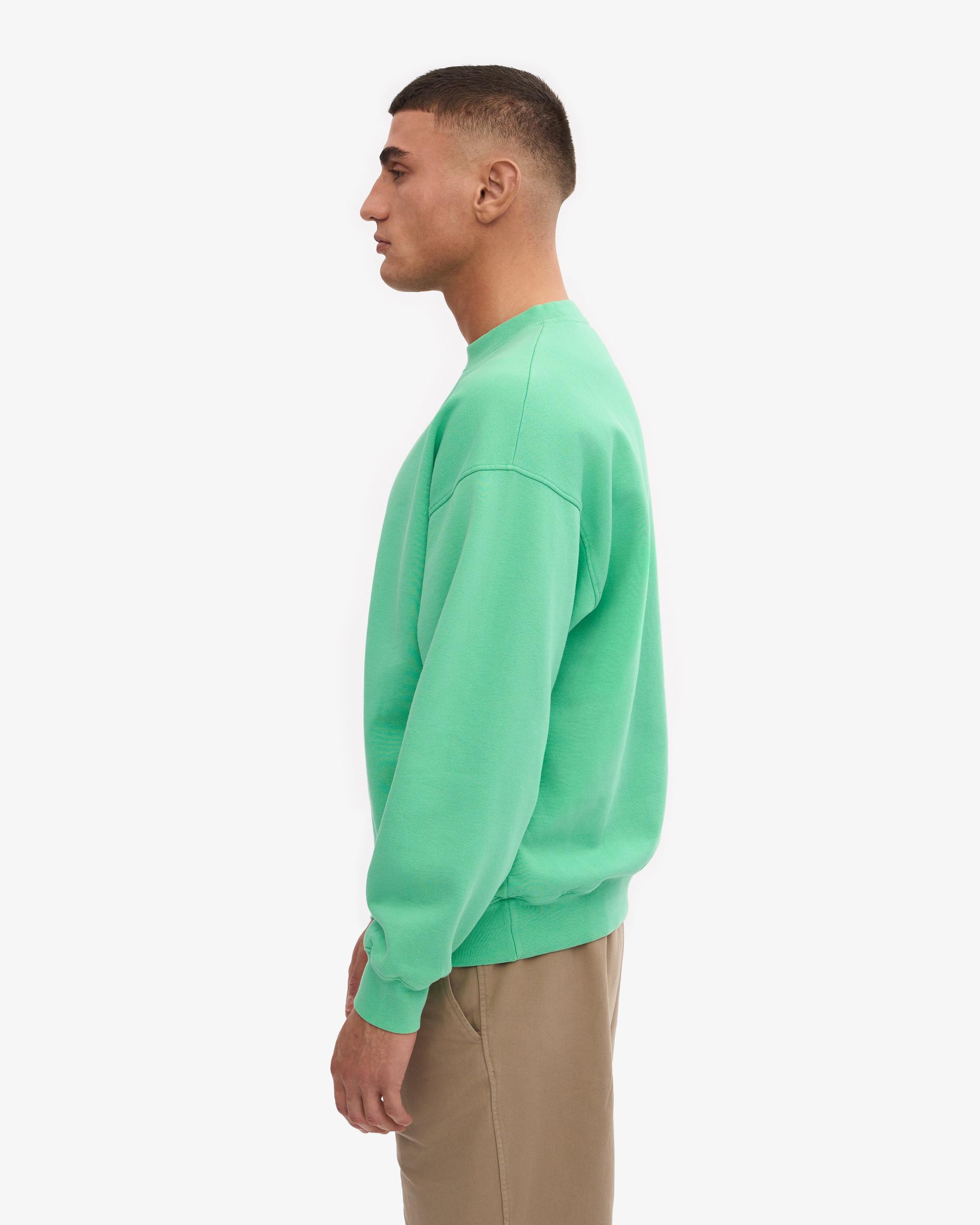 Organic Oversized Crew - Spring Green Product Image