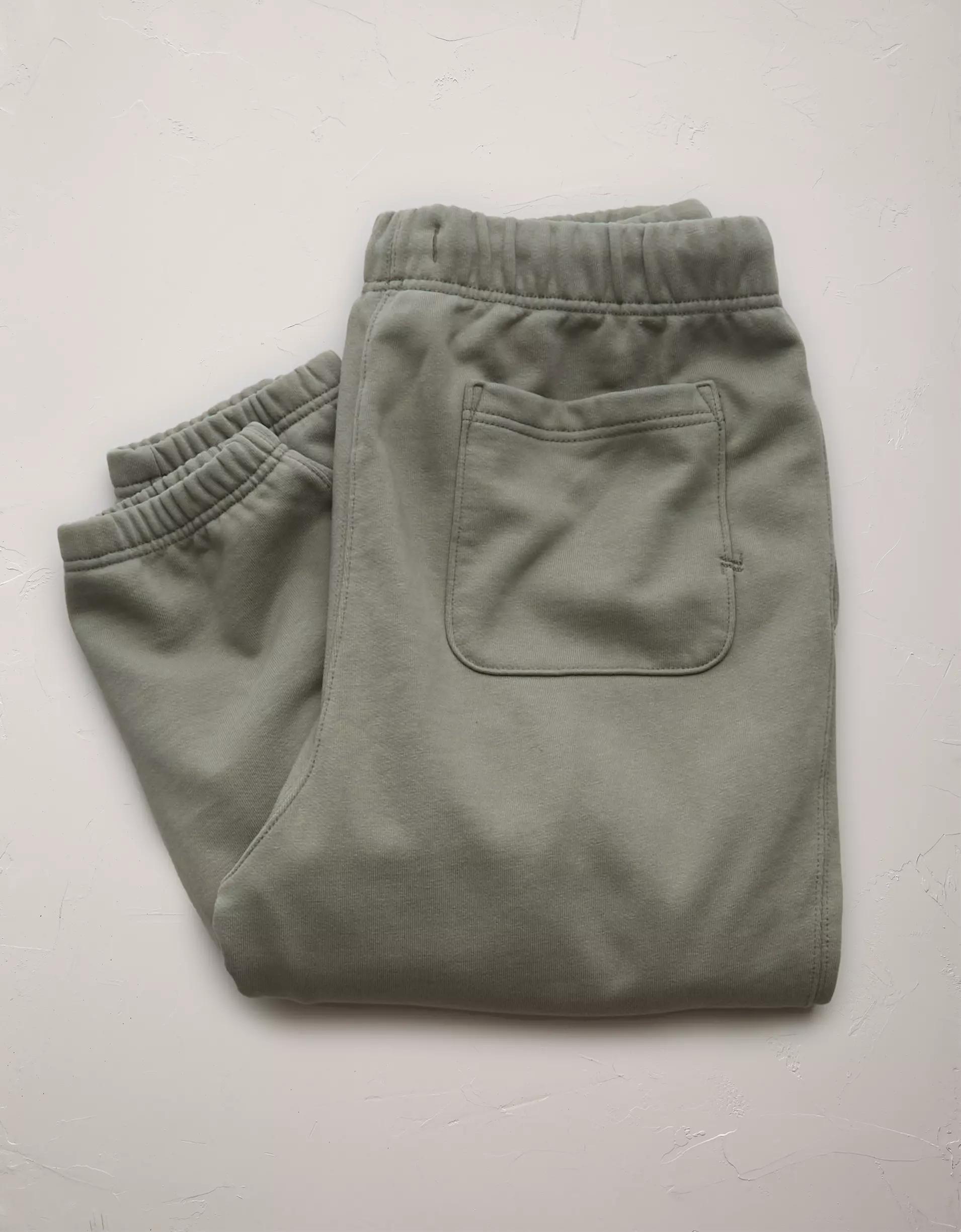 AE77 Premium Fleece Jogger Product Image