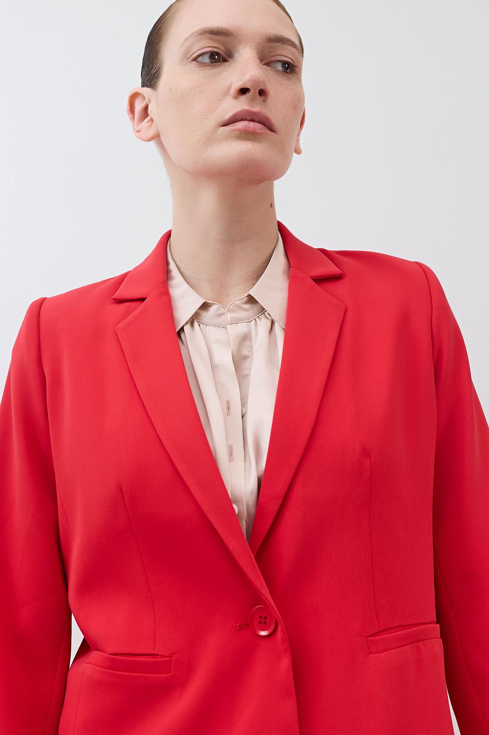 The Shrunken Blazer Product Image