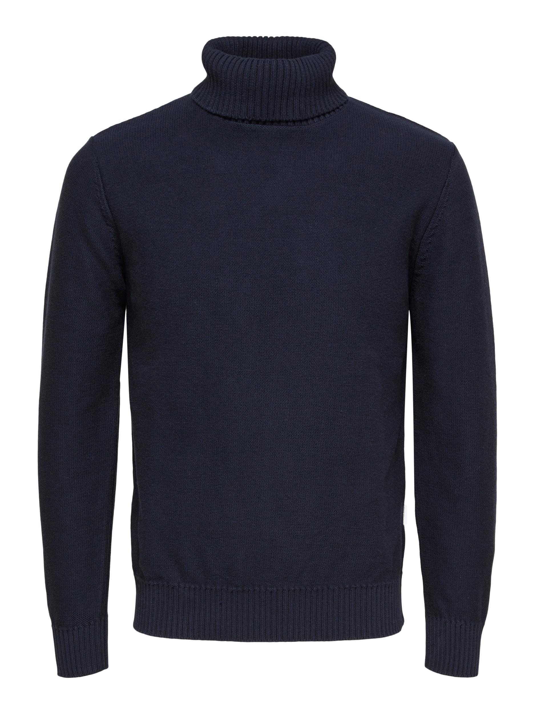 Axel Knit Roll Neck Product Image