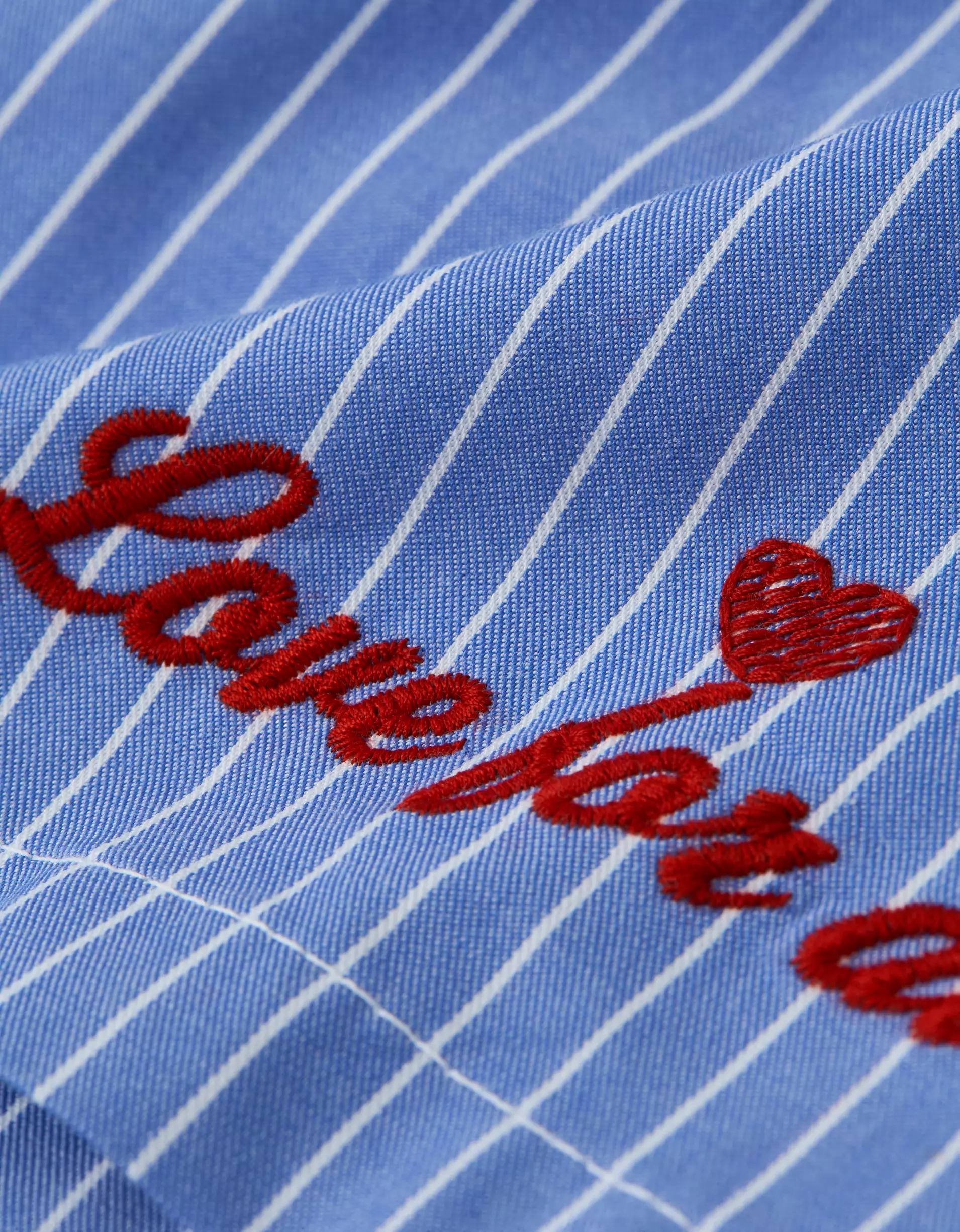 AEO Men's Striped Hearts Poplin Pocket Boxer Short Product Image