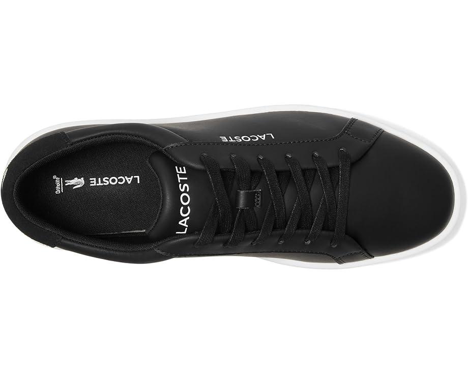 Powercourt Sneakers Product Image