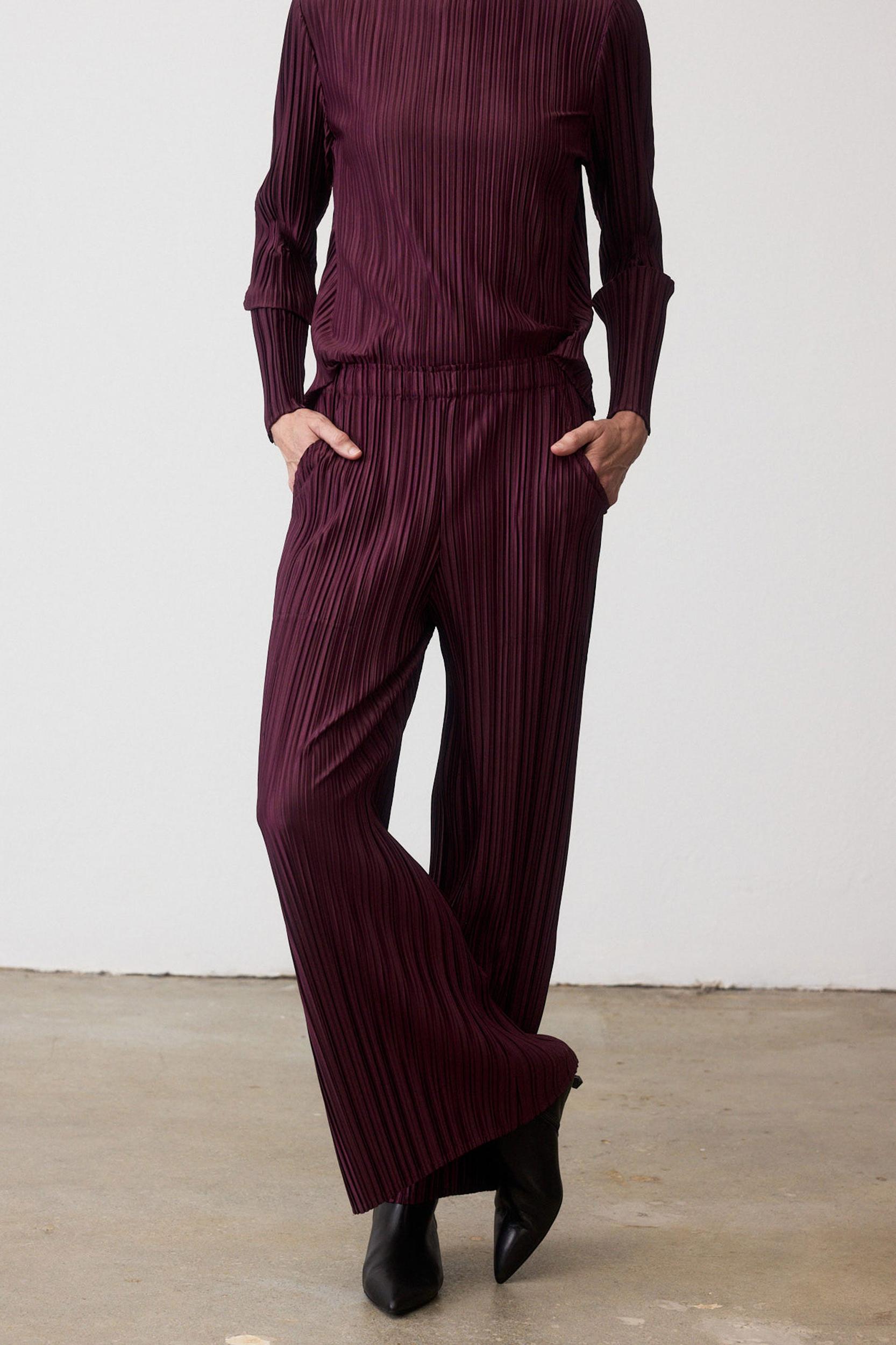 Relaxed Pleated Pants Product Image