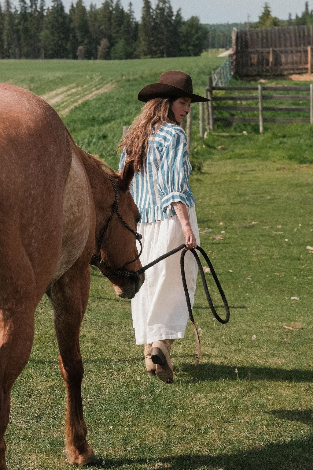 The Blue Mary Top Product Image