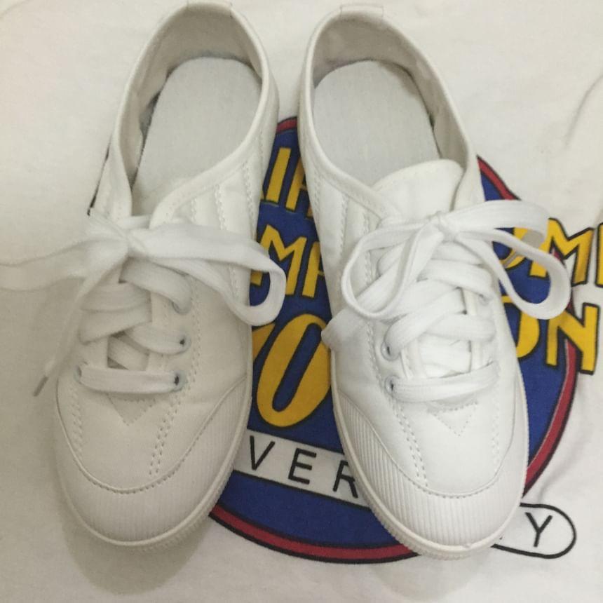 Plain Lace Up Canvas Sneaker Product Image