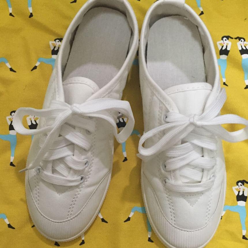 Plain Lace Up Canvas Sneaker Product Image