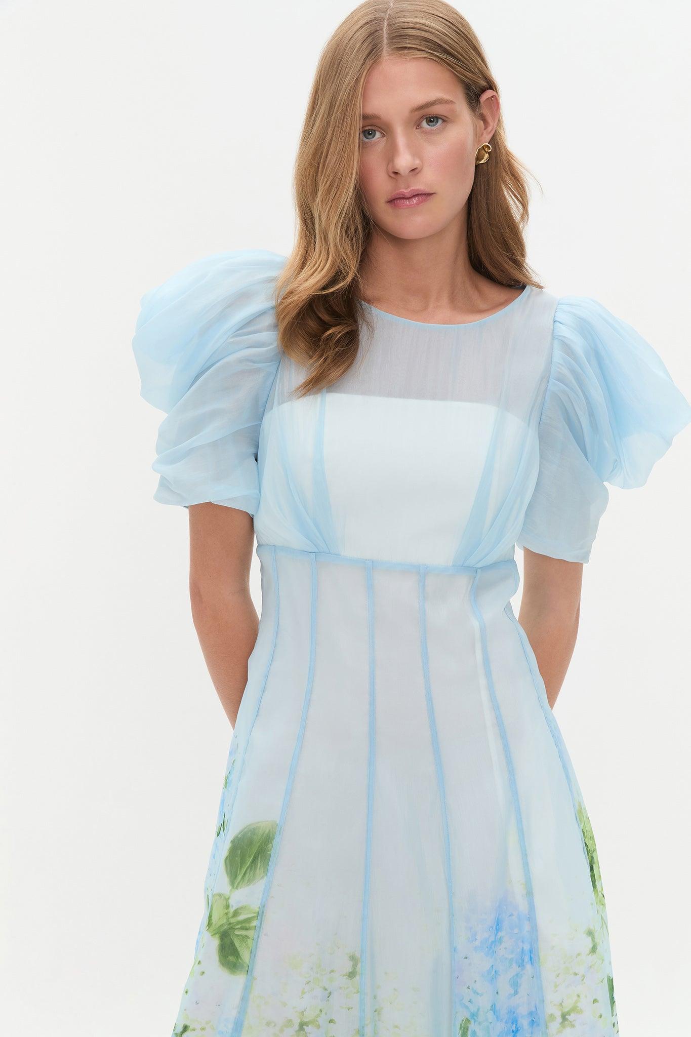 Clementine Midi Dress Product Image