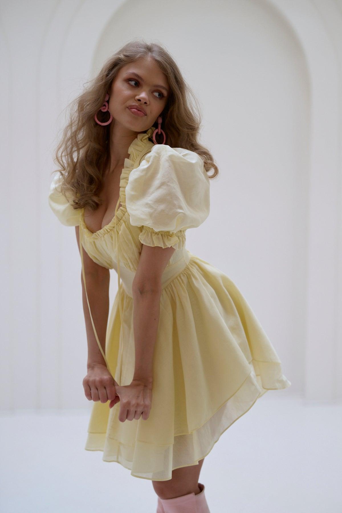 The Twinkie Portrait of a Lady Dress Product Image