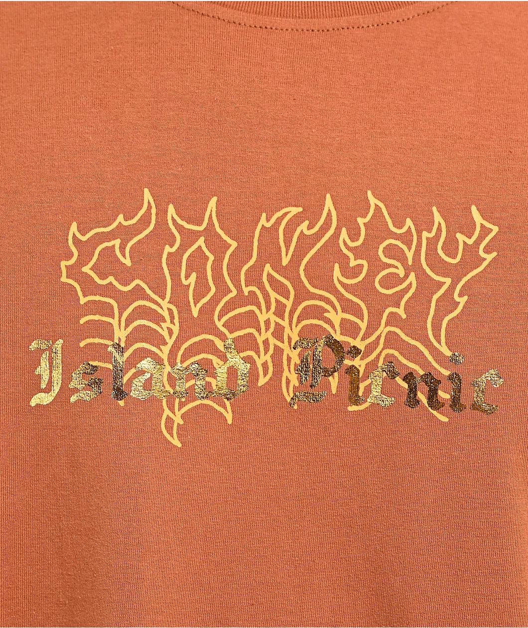 Coney Island Picnic Take Me Away Brown T-Shirt Product Image