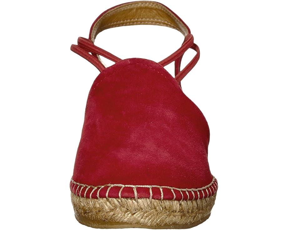 Toni Pons Product Image